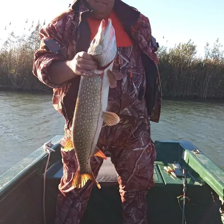 Daire 2 Semidecomandat 